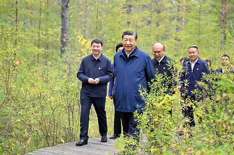 9月6日至8日，，，，，，中共中央总书记、国家主席、中央军委主席习近平在黑龙江考察。。。。。。这是6日下昼，，，，，，习近平在大兴安岭地区漠河市漠河林场自然林区考察